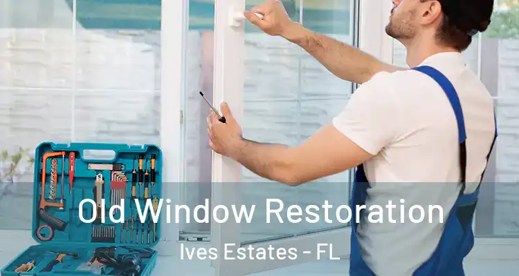  Old Window Restoration Ives Estates - FL