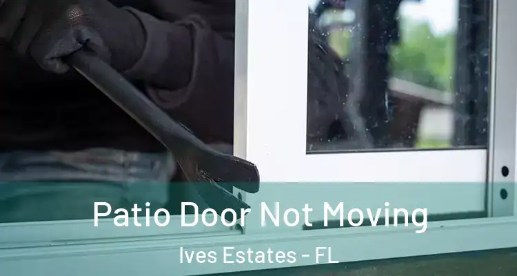  Patio Door Not Moving Ives Estates - FL