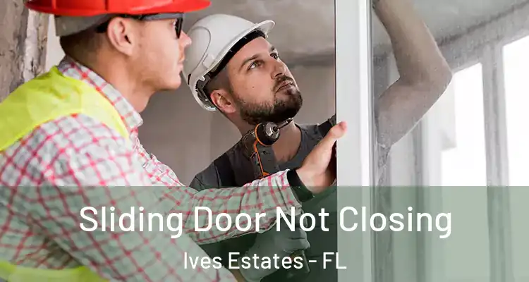  Sliding Door Not Closing Ives Estates - FL